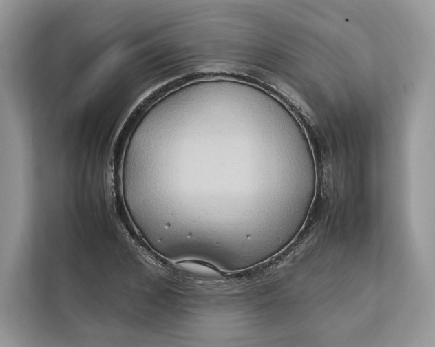 X0000112210976200908281456