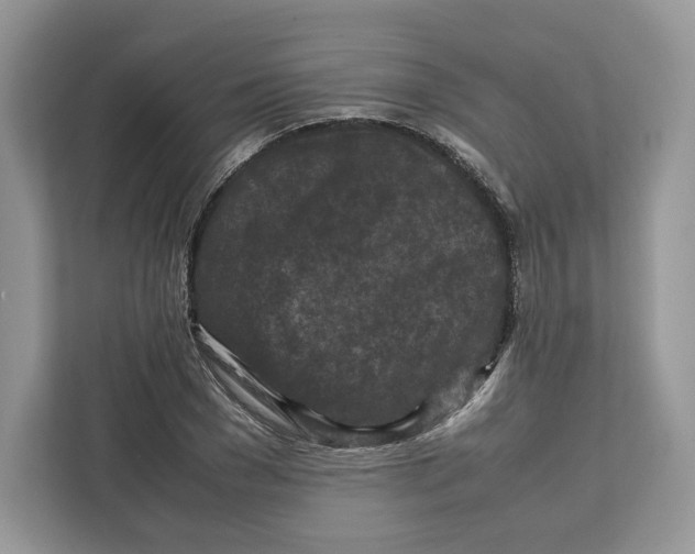 X0000112210977200908281456