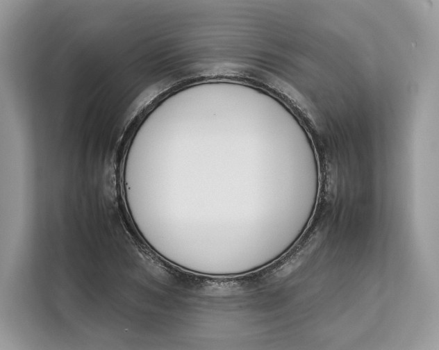 X0000112210978200908281456