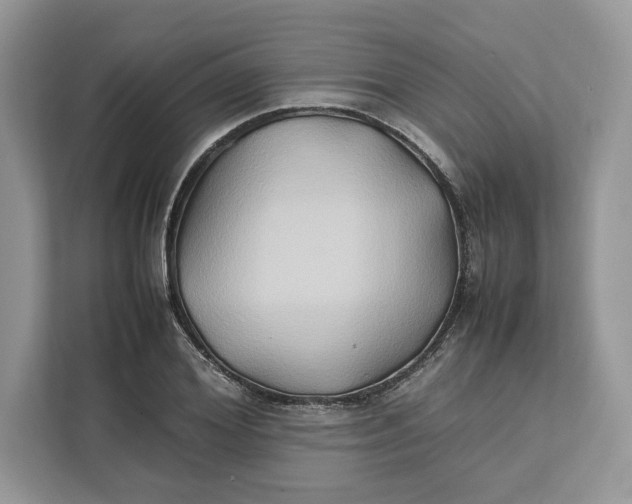 X0000112210980200908281456