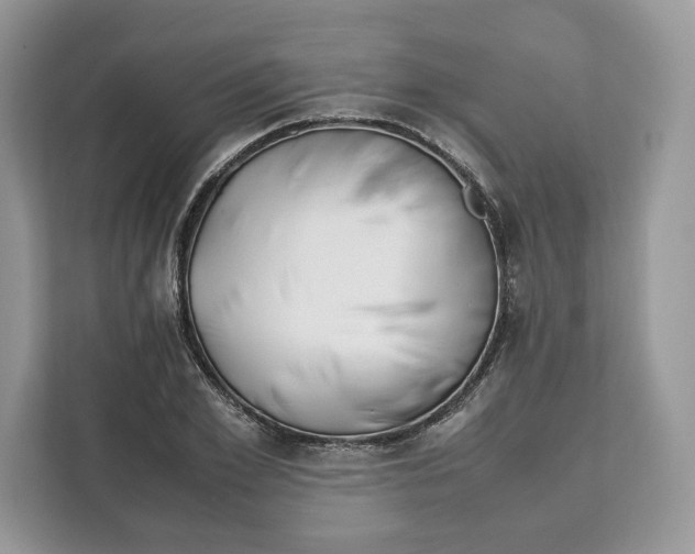 X0000112210981200908281456