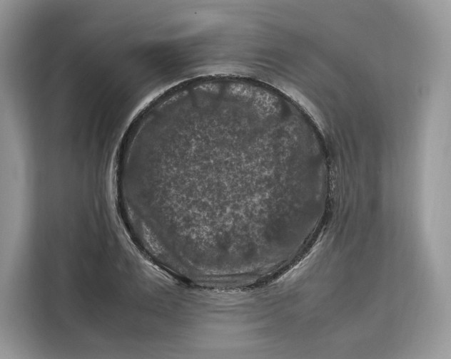 X0000112210983200908281456