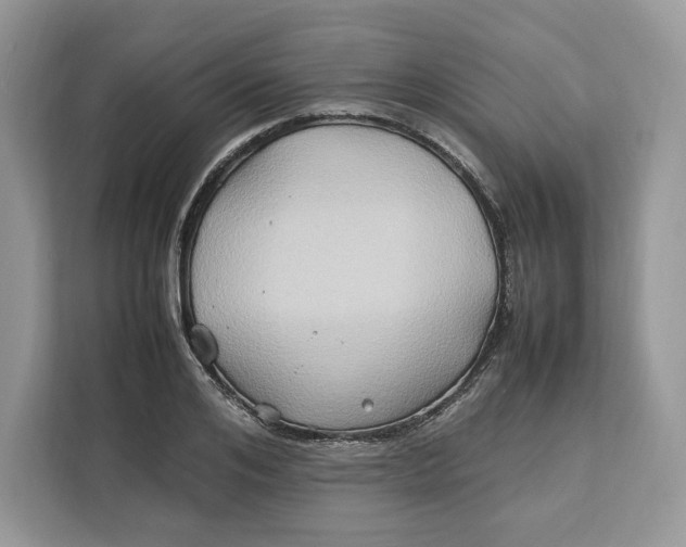 X0000112210984200908281456
