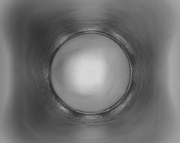 X0000112210985200908281456