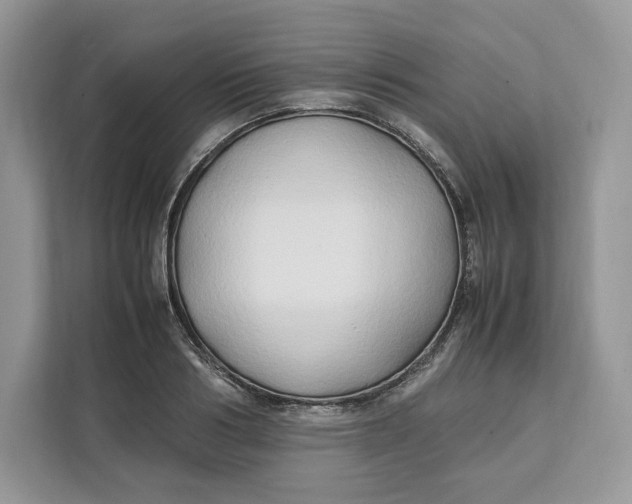 X0000112210986200908281456
