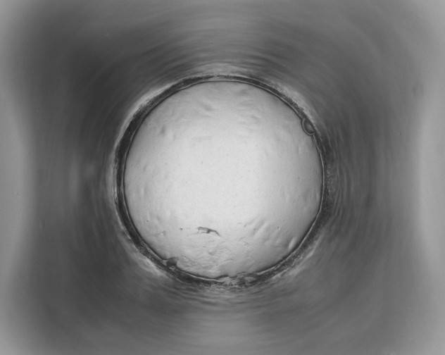X0000112210987200908281456