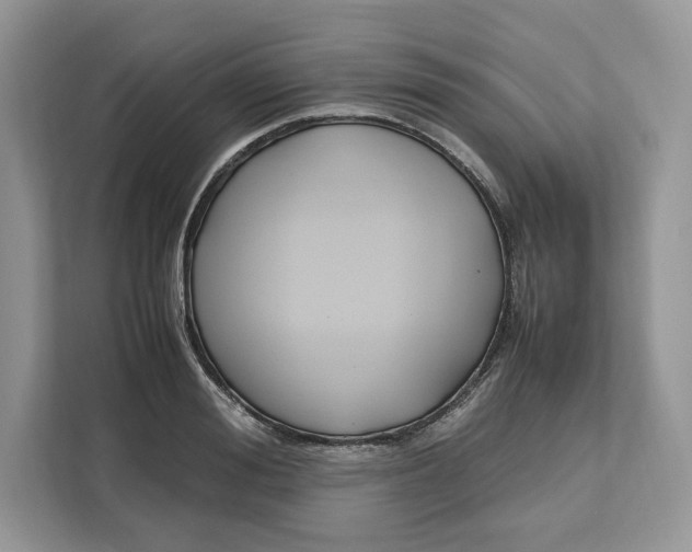 X0000112210988200908281456
