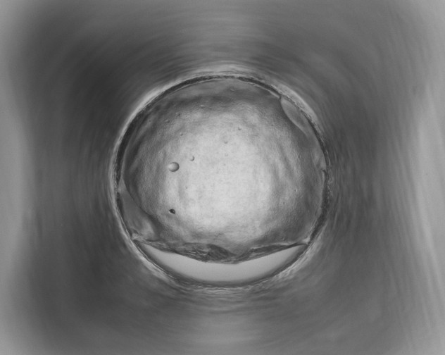 X0000112210989200908281456