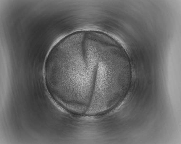 X0000112210990200908281456