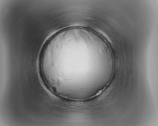 X0000112210991200908281456