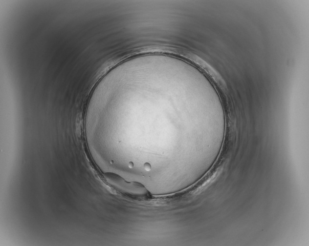 X0000112210993200908281456