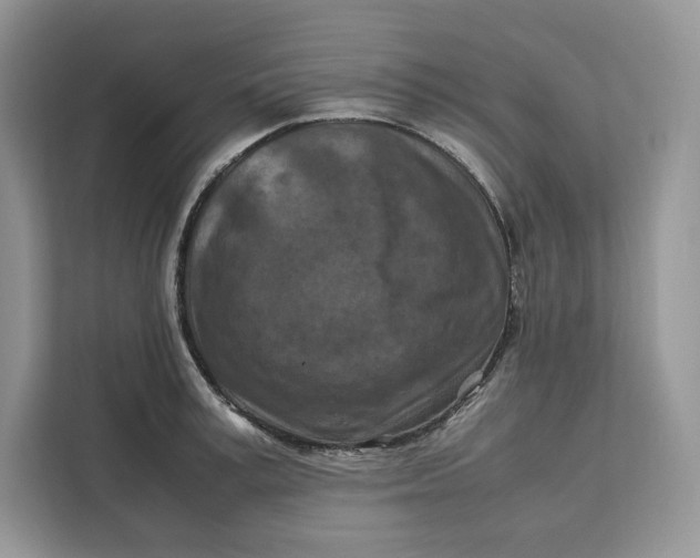 X0000112210995200908281456