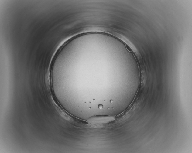X0000112210996200908281456