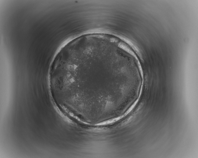 X0000112210998200908281456