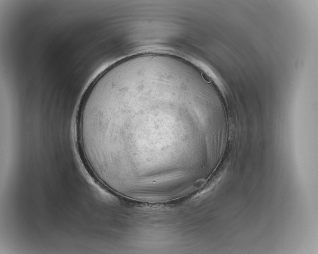 X0000112210999200908281456
