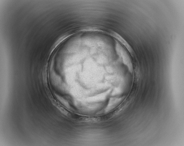 X0000112211002200908281456