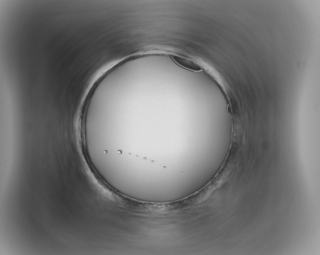 X0000112211003200908281456