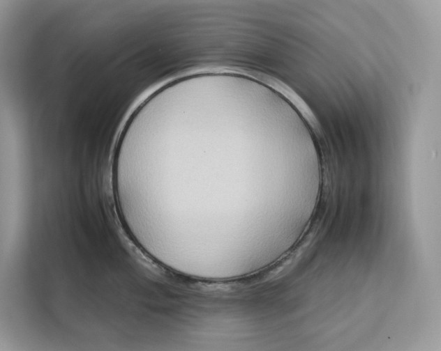 X0000112211004200908281456
