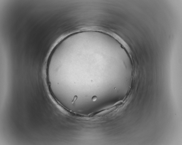 X0000112211005200908281456