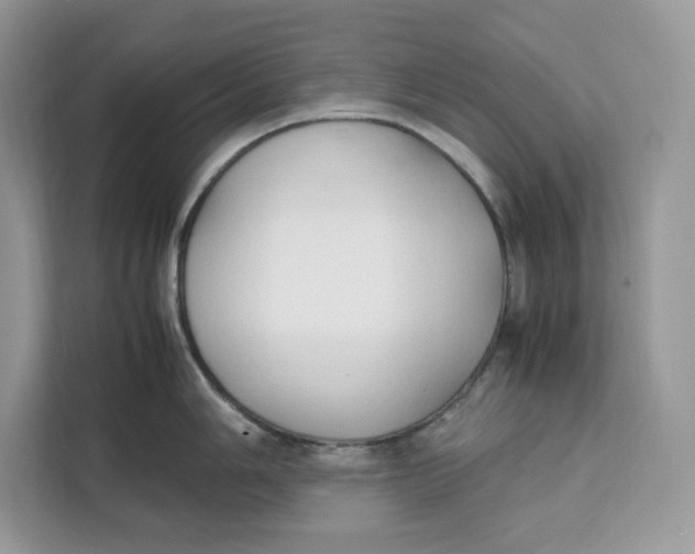 X0000112211006200908281456