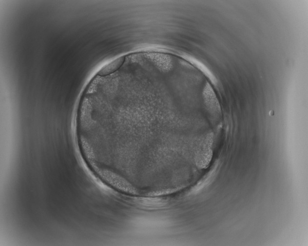 X0000112211007200908281456