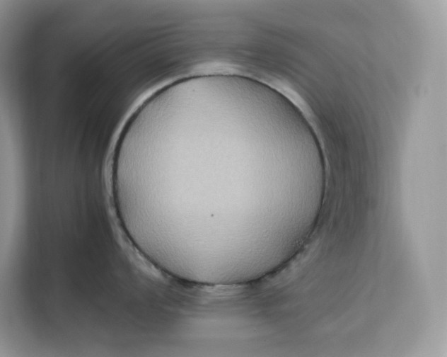 X0000112211008200908281456