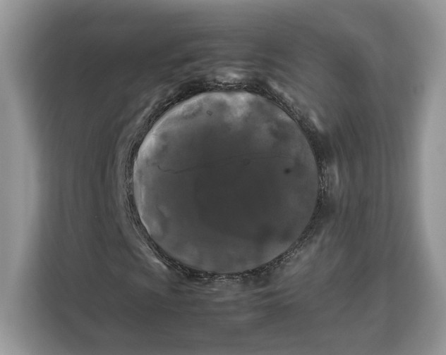 X0000112211009200908281455