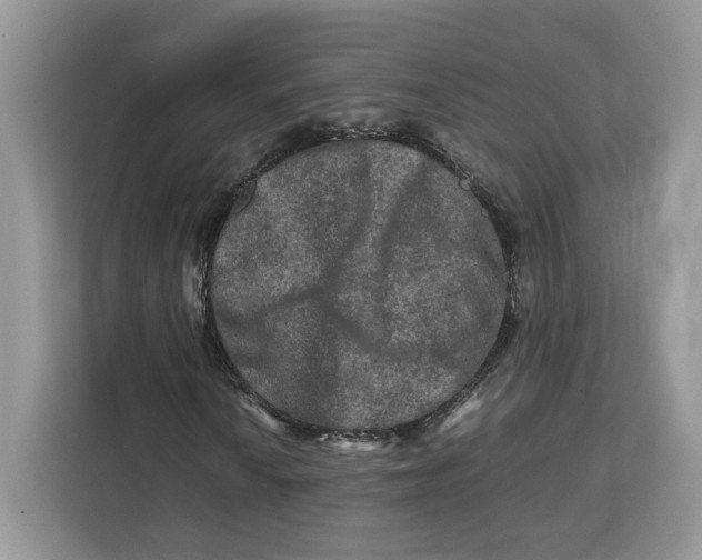 X0000112211010200908281455