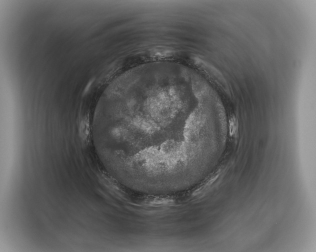 X0000112211011200908281455