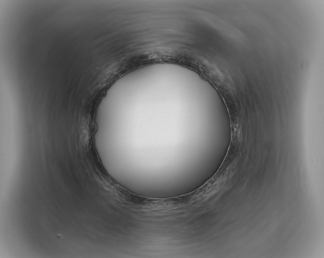 X0000112211012200908281455
