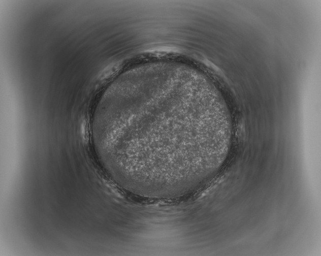 X0000112211014200908281455