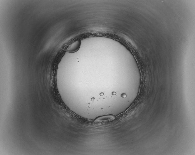 X0000112211016200908281455