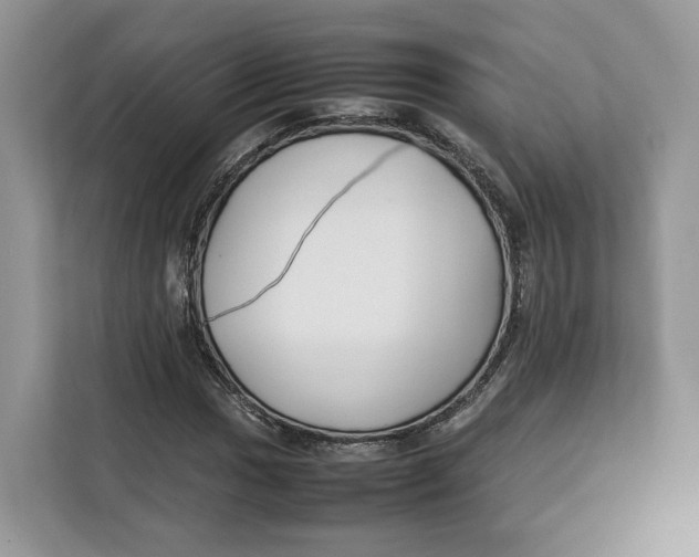 X0000112211017200908281455