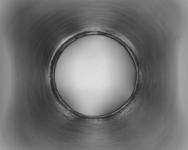 X0000112211020200908281455