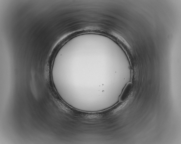 X0000112211021200908281455