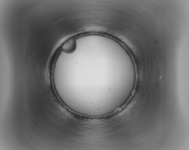 X0000112211022200908281455