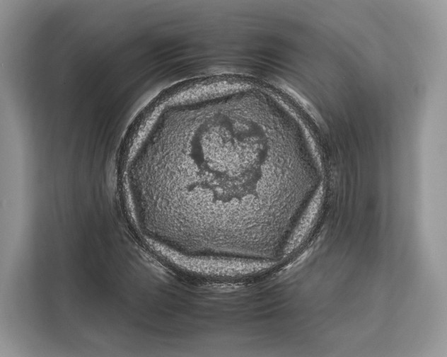 X0000112211023200908281455