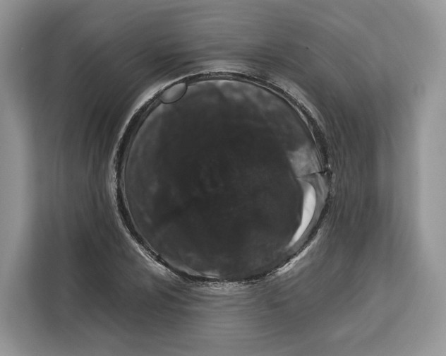 X0000112211024200908281455