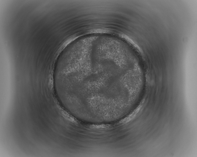 X0000112211025200908281455