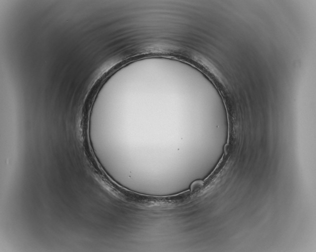 X0000112211026200908281455