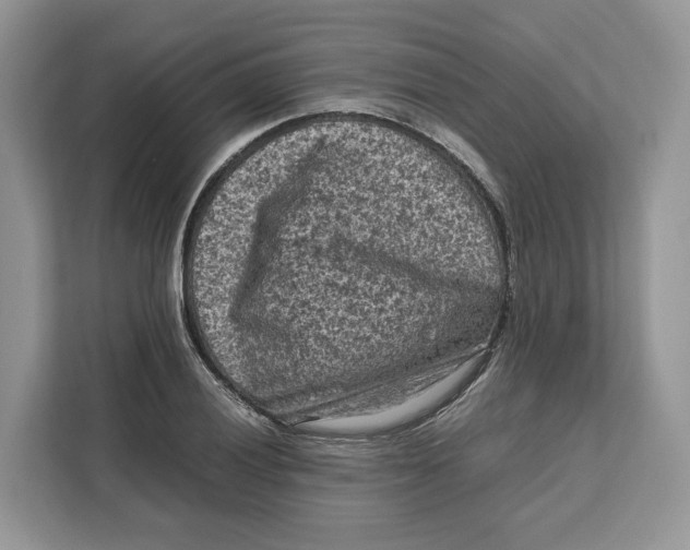 X0000112211028200908281455