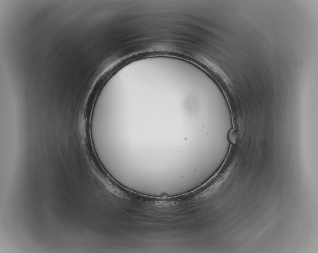 X0000112211029200908281455