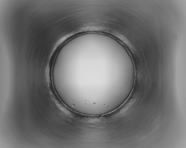 X0000112211030200908281455