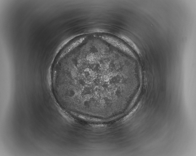 X0000112211031200908281455
