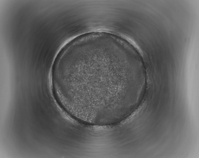 X0000112211032200908281455