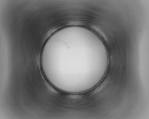 X0000112211033200908281455