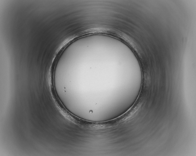 X0000112211034200908281455