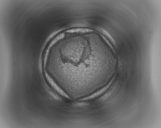 X0000112211035200908281455