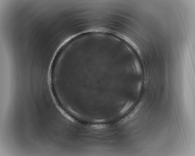 X0000112211037200908281455