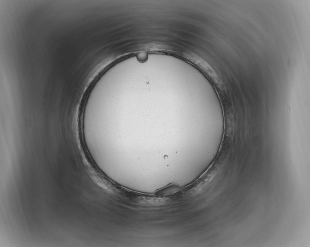 X0000112211039200908281455